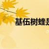 基伍树蝰是保护动物吗（基伍 a800）