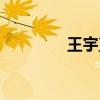 王宇直是什么梗(王宇直) 王宇直是什么梗(王宇直)