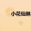 小花仙琳恩话本小说(小花仙琳恩) 小花仙琳恩话本小说(小花仙琳恩)