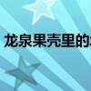 龙泉果壳里的城物业电话（龙泉果壳里的城）