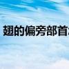 翅的偏旁部首怎么读（翅的偏旁部首是什么）