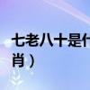 七老八十是什么生肖动物（七老八十是什么生肖）