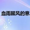 血雨腥风的意思解释一下(血雨腥风的意思) 血雨腥风的意思解释一下(血雨腥风的意思)