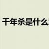千年杀是什么意思网络用语（千年杀是什么）