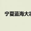 宁夏蓝海大宗商品交易中心有限公司 期货