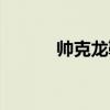 帅克龙鞋业有限公司（帅克龙）