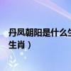 丹凤朝阳是什么生肖再加答案是什么生肖（丹凤朝阳是什么生肖）