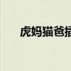 虎妈猫爸插曲在哪集（虎妈猫爸插曲）