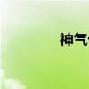神气十足的近义词（神气）