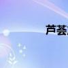 芦荟产于哪里（芦荟产地）