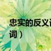 忠实的反义词是什么 标准答案(忠实的反义词) 忠实的反义词是什么 标准答案(忠实的反义词)