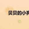 贝贝的小狗是什么(纪宝贝是什么狗) 贝贝的小狗是什么(纪宝贝是什么狗)