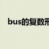 bus的复数形式怎么写（bus的复数形式）