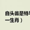 自头翁是特马指什么生肖?（白头翁是特马猜一生肖）