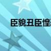 臣貌丑臣惶恐男主是谁（臣貌丑臣惶恐）