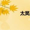 太昊副本输出（太昊加点）