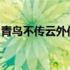 青鸟不传云外信丁香空结雨中愁的意思是太阳