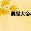 凯撒大帝4出口(凯撒大帝4序列号) 凯撒大帝4出口(凯撒大帝4序列号)