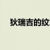 狄瑞吉的纹章如何获得（狄瑞吉的纹章）