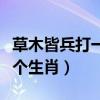 草木皆兵打一个生肖什么生肖（草木皆兵打一个生肖）