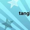 tangleteezer梳子怎么清洗