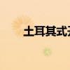 土耳其式开局 下载（土耳其式开局）