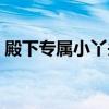 殿下专属小丫头百度网盘（殿下专属小丫头）