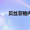 贝丝菲格内衣的价格（贝丝菲格内衣）