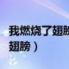 我燃烧了翅膀你却像风一样什么歌（我燃烧了翅膀）