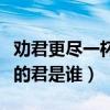 劝君更尽一杯酒的君是什么（劝君更尽一杯酒的君是谁）