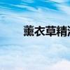 薰衣草精油 去疤（薰衣草精油去疤）