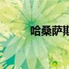 哈桑萨斯世界杯过人（哈桑萨斯）