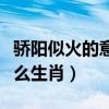 骄阳似火的意思是什么生肖（骄阳似火代表什么生肖）