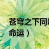 苍穹之下同呼吸共命运（穹顶之下 同呼吸共命运）