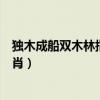 独木成船双木林指什么动物生肖(独木成船双木林是什么生肖) 独木成船双木林指什么动物生肖(独木成船双木林是什么生肖)