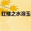 红楼之水溶玉心塔读文学（红楼之水溶玉心）