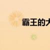 霸王的大陆论坛（霸王大陆私服）