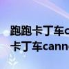 跑跑卡丁车cannotinitialize什么意思（跑跑卡丁车cannot initialize）