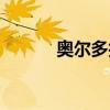 奥尔多护肩附魔（奥尔多护肩）