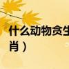 什么动物贪生怕死打一生肖（贪生怕死打一生肖）