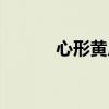 心形黄瓜水果拼盘(心形黄瓜) 心形黄瓜水果拼盘(心形黄瓜)