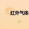红外气体分析仪（红外气体检测仪）