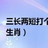 三长两短打个动物打个生肖（三长两短打一个生肖）