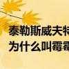 泰勒斯威夫特为啥称之为霉霉（泰勒斯威夫特为什么叫霉霉）