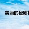 美丽的秘密插曲2501（美丽的秘密插曲）