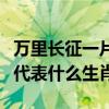 万里长征一片土是什么生肖（万里长城一片土代表什么生肖）