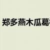 郑多燕木瓜葛根粉丰胸（郑多燕木瓜葛根粉）