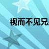 视而不见兄来到灯谜（视而不见兄来到）