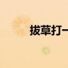 拔草打一字谜语(拔草打一字谜) 拔草打一字谜语(拔草打一字谜)