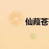 仙葭苍苍有男主吗（仙葭苍苍）